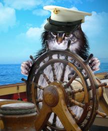 Captain Kitteh